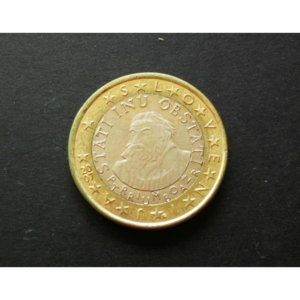 Slovenia 1 Euro  2007 aUNC