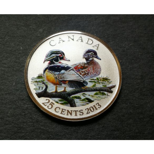 Canada 25 Cents 2013 UNC Nickel-Multicolor, Wood ducks commemorative coin