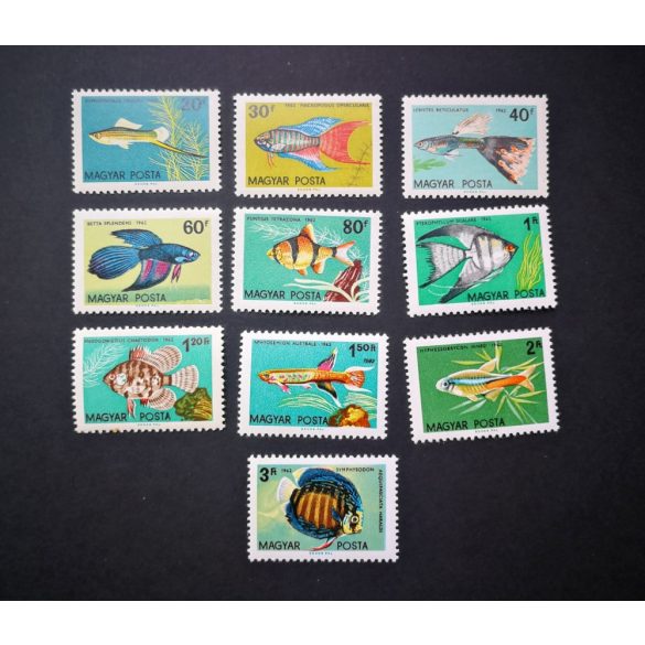 1962 Aquarium ornamental fish**