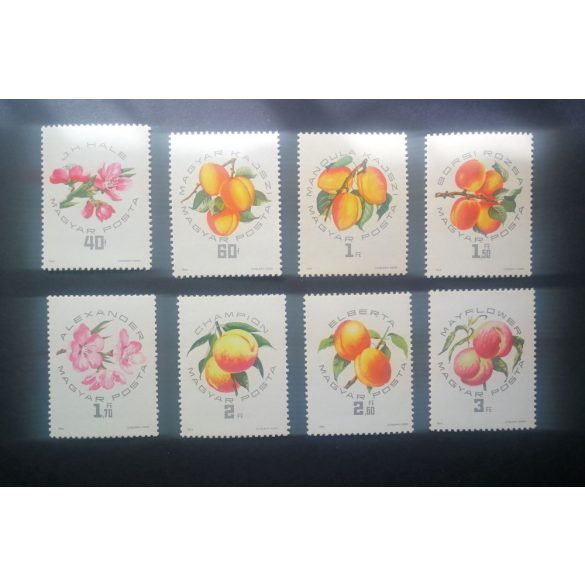 1964 Hungarian peach varieties**