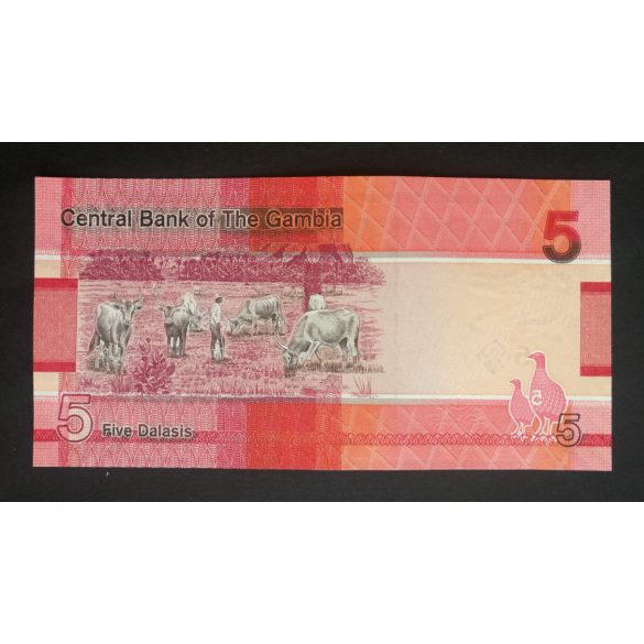 Gambia 5 Dalasis 2023 UNC