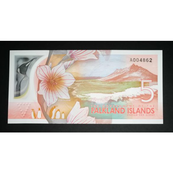 Falkland Islands 5 Pounds 2025 Unc