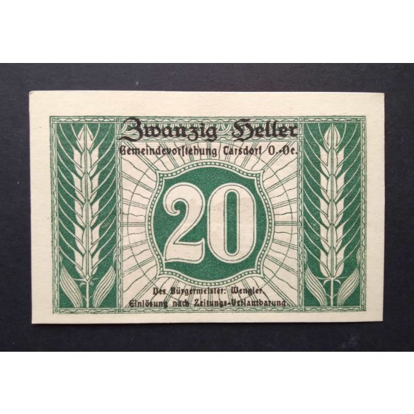 Austria 20 Heller 1920 Unc Tarsdorf