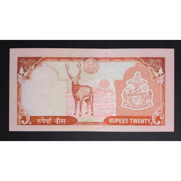 Nepál 20 Rupees 2004 UNC 
