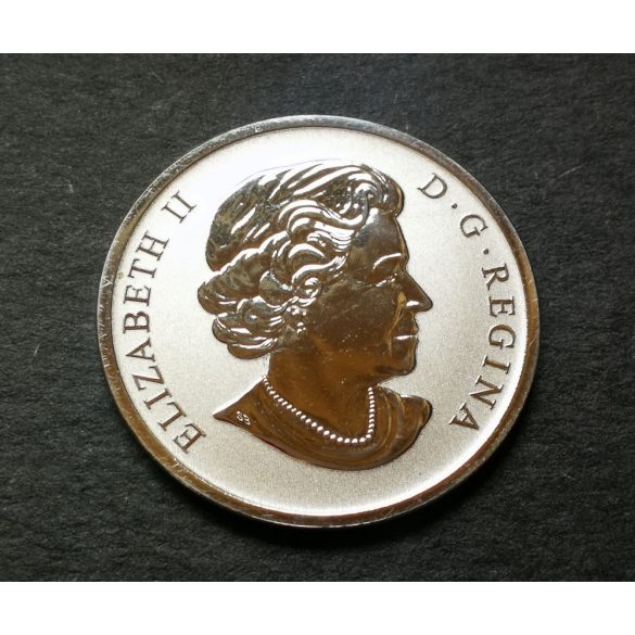 Canada 25 Cents 2013 UNC Nickel-Multicolor, Wood ducks commemorative coin