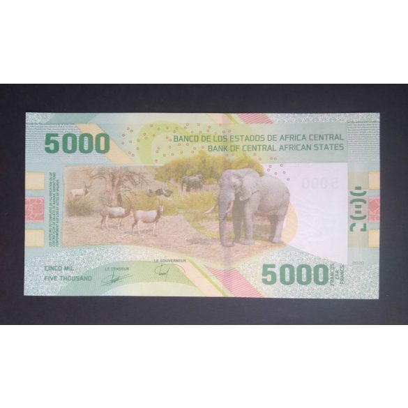 Central African States 5000 Francs 2020 UNC