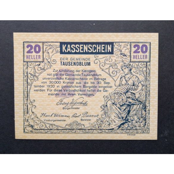 Ausztria 20 Heller 1920 Unc Tausendblum