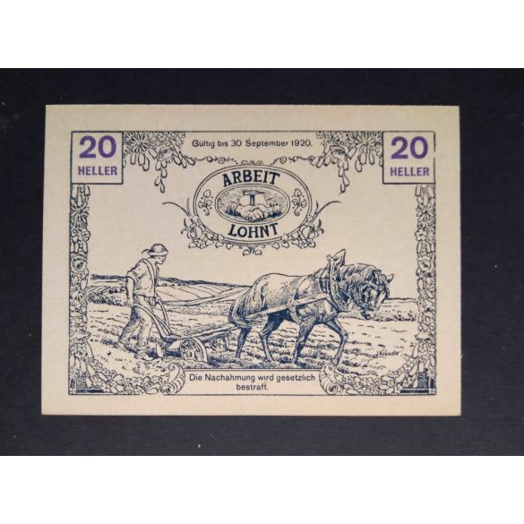 Austria 20 Heller 1920 Unc Tausendblum