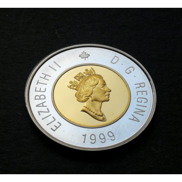 Canada 2 Dollars 1999 Silver+ gold plated PP, Commemorative coin