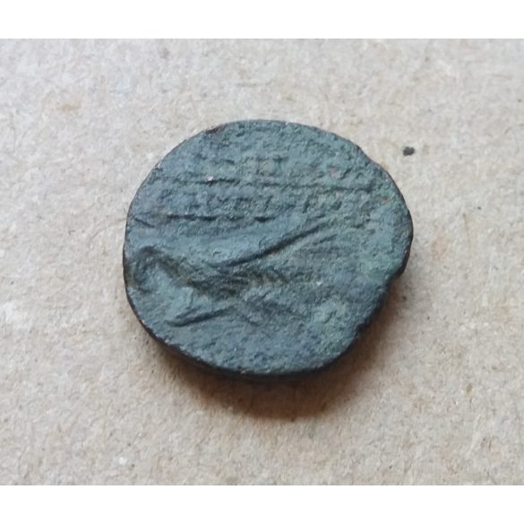 Ancient Greece Seleucid Empire  Antiochos VIII (125 BC - 96 BC) 4,75 g