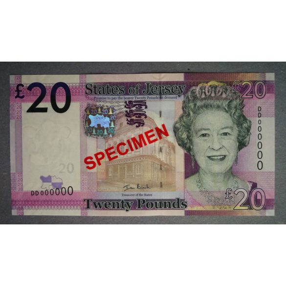 Jersey 20 Pounds 2010 UNC - specimen