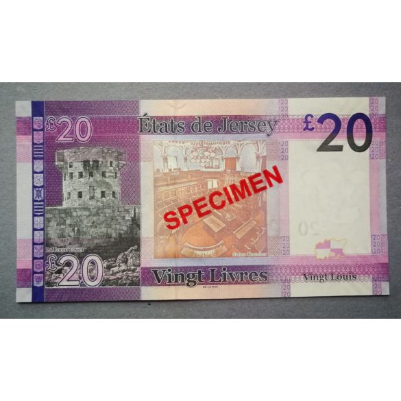 Jersey 20 Pounds 2010 UNC - specimen