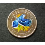 Kanada 25 Cents 2010 UNC Nickel-Multicolor, Blue Jay commemorative coin
