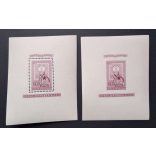 1951 Lila blokkpár **