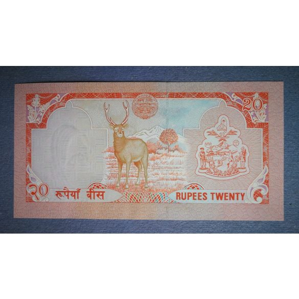 Nepál 20 rupees 1995 AUNC