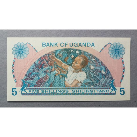 Uganda 5 Shillings 1979 UNC